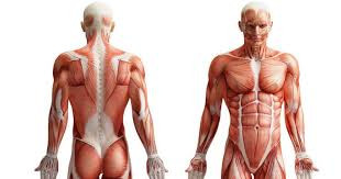 آموزش ماساژ